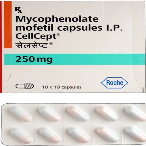 Cellcept 250 mg Tablet