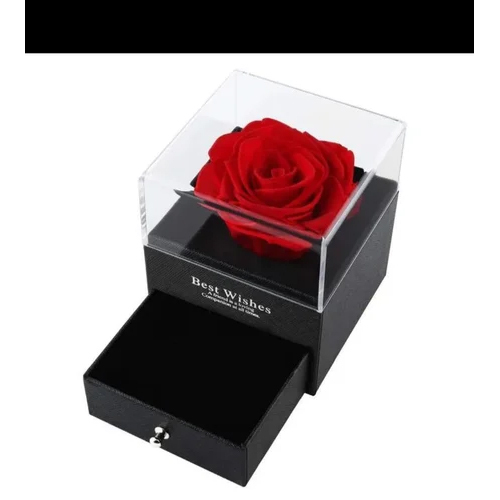 Pendant Jewellery Box