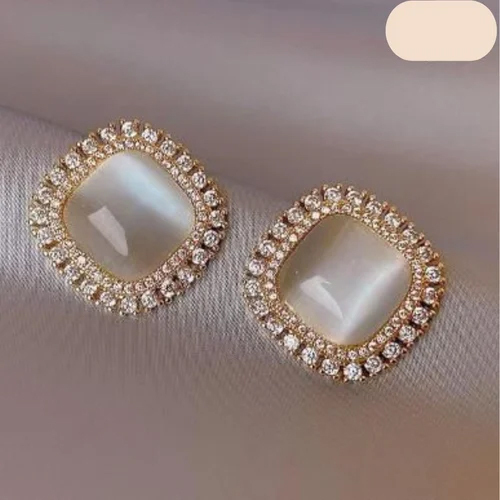 Ladies Fashion Earrings