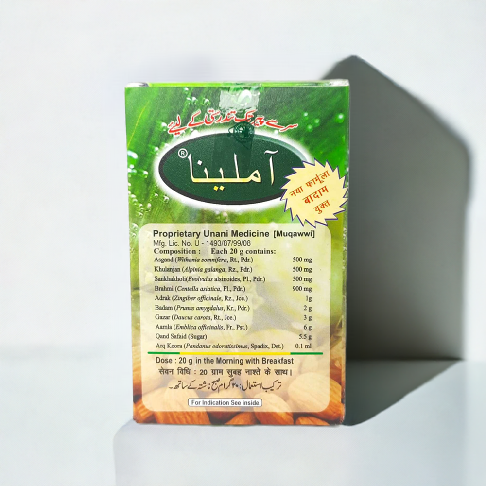 Dehlvi Amleena 300gm