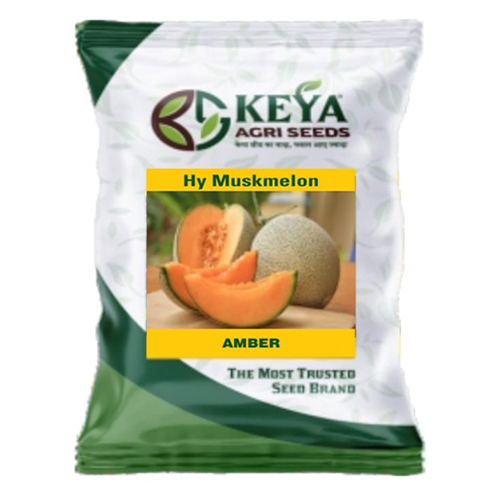 Amber Hybrid Muskmelon