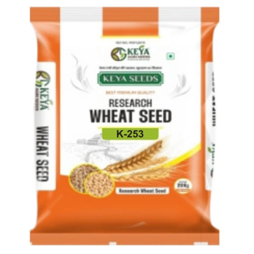 K-253 Wheat Seed