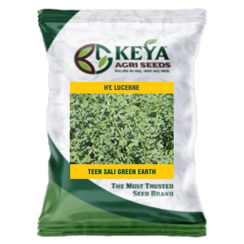 Teen Sali Green Earth Lucerne