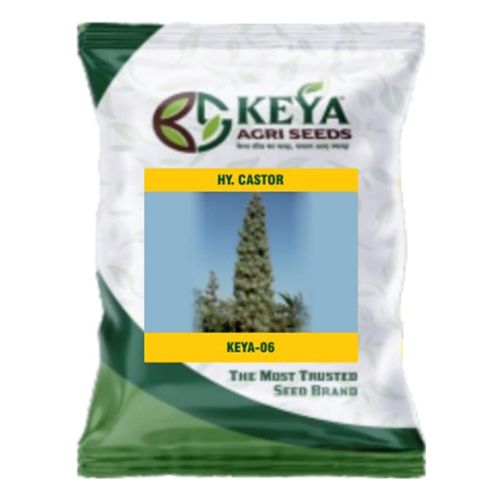 KEYA-06 Hybrid Castor