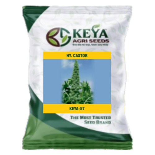 Keya-57 Hybrid Castor