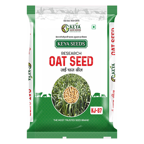 KJ-87 Oat Seed