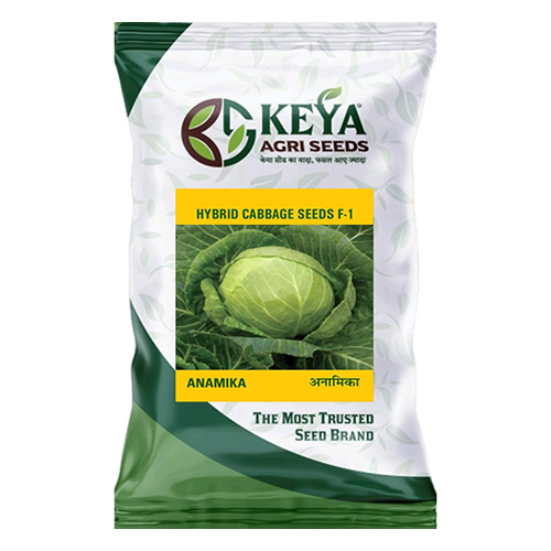Anamika Hybrid Cabbage Seeds F-1