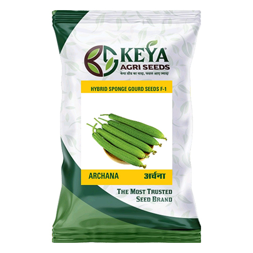 Archna Hybrid Sponge Gourd Seeds F-1