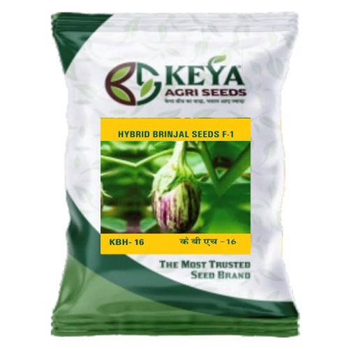 Kbh-16 Hybrid Brinjal Seeds F-1 - Cultivation Type: Organic