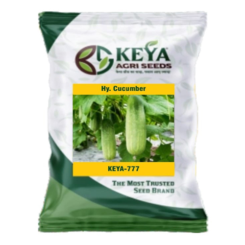 Keya-777 Hybrid Cucumber Seed