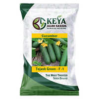 Tejas Green Cucumber F-1