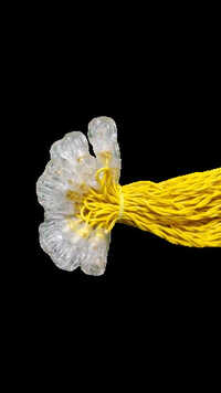 50led Warm White Series Light