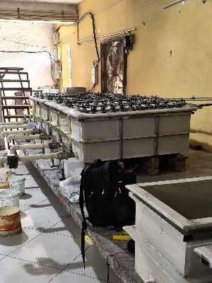 Automatic electroplating plant