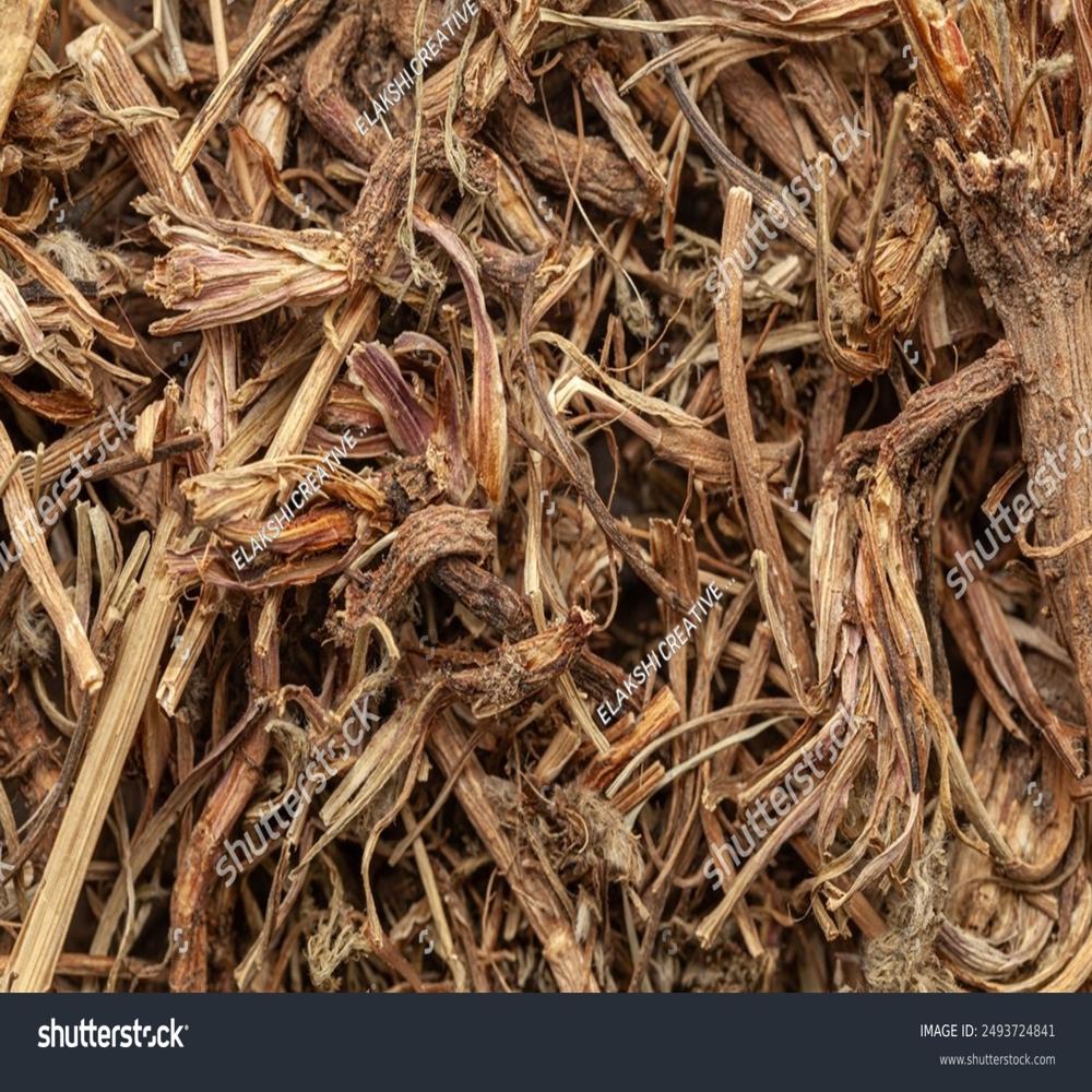 Akarkara Roots (Anacyclus Pyrethrum) - Age Group: Suitable For All