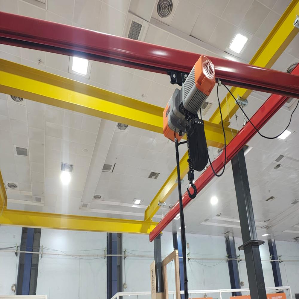 Electric Chain Hoists - Capacity: 500 Kg