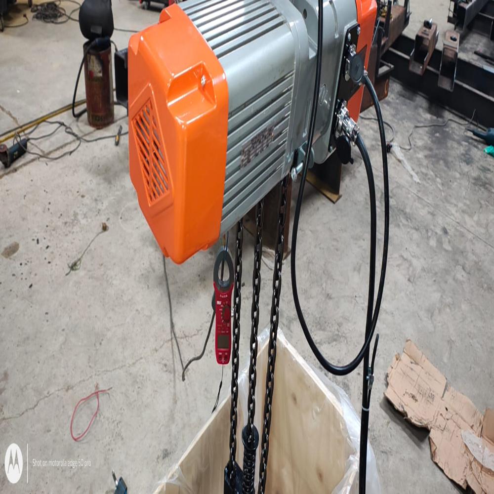 Electric Chain Hoists - Capacity: 500 Kg