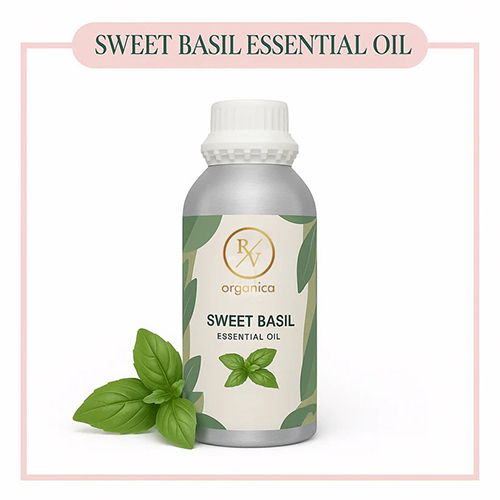 Sweet Basil Essential Oil