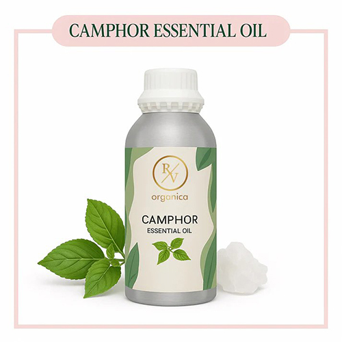 Camphor Essential Oil