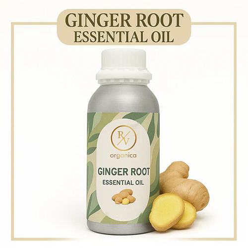 Ginger Root Essential Oil
