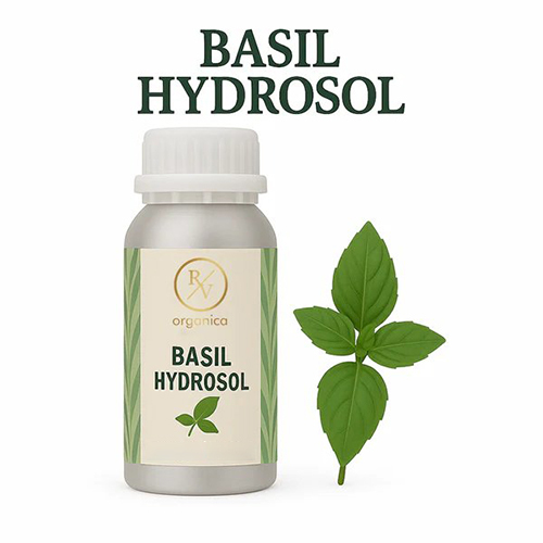 Basil Hydrosol Floral Water - Age Group: For Adults