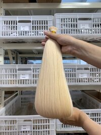 Russian human hair extensions