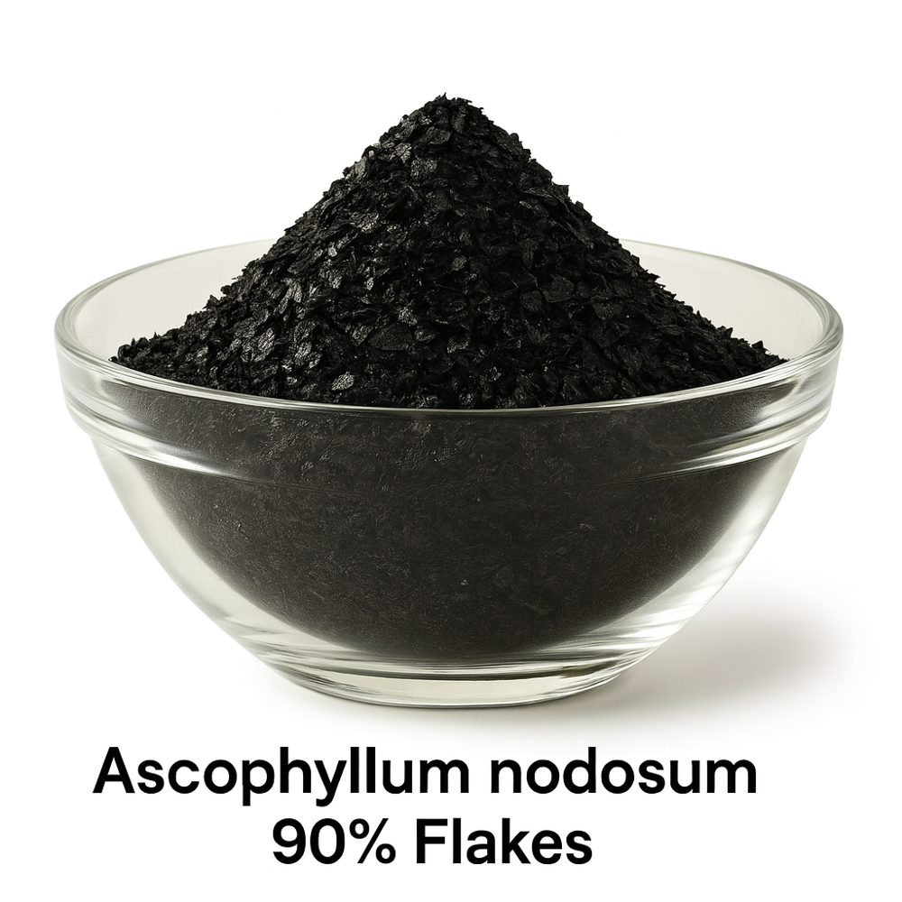 Ascophyllum nodosum 90% (Flakes)
