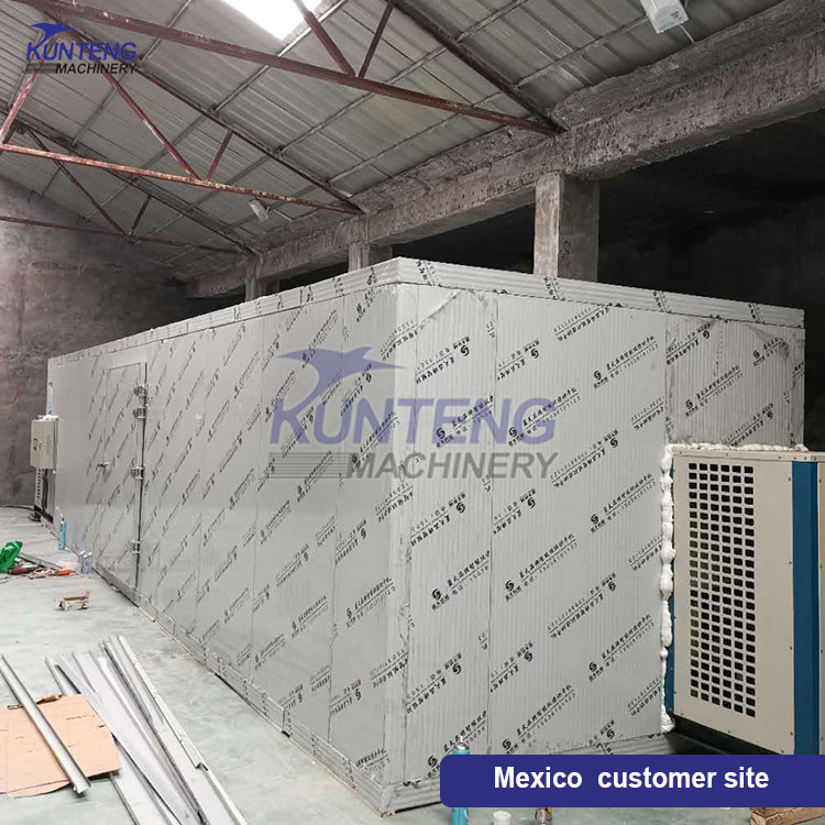 Oven Maggots Drying Machine