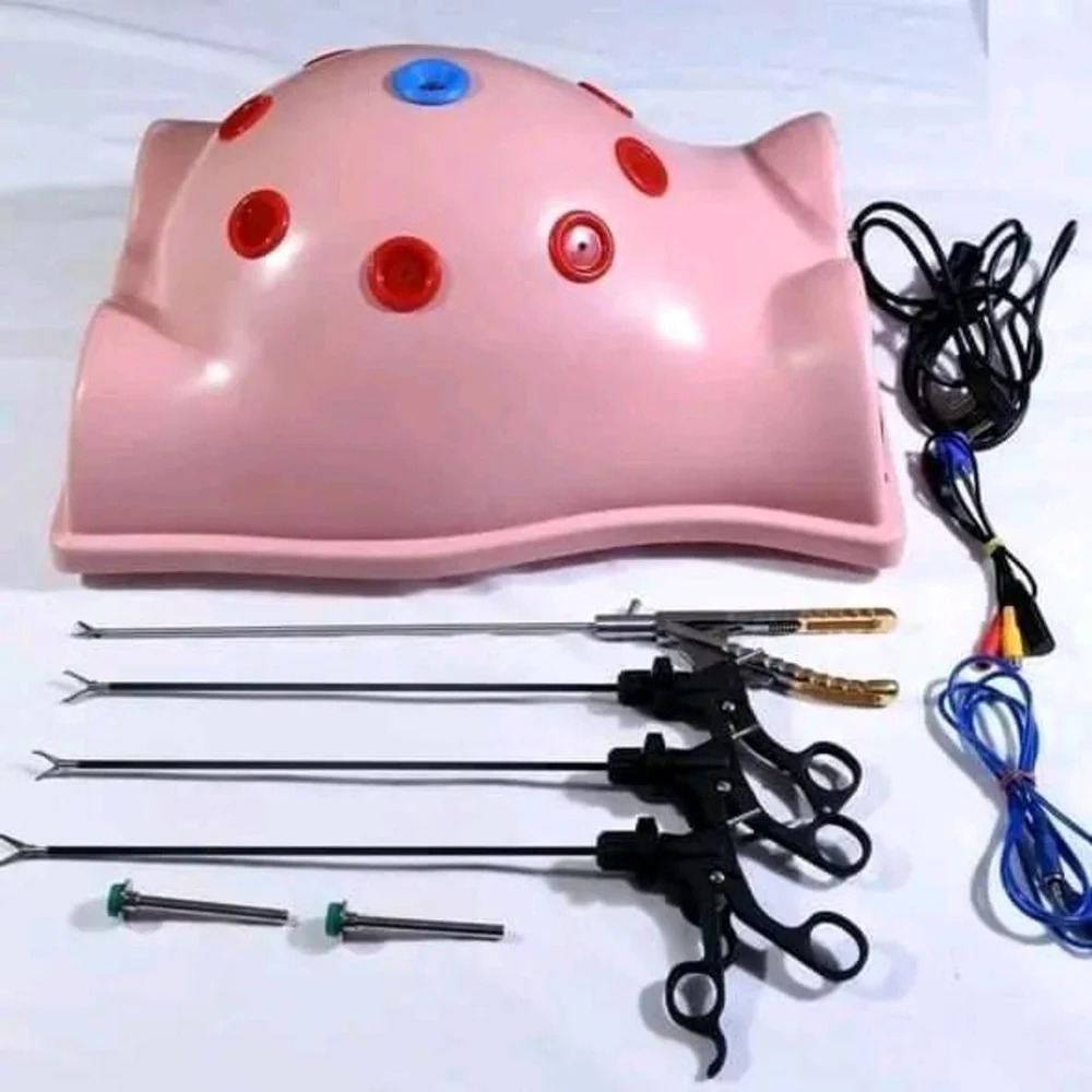 Laparoscopy Endo Trainer Set