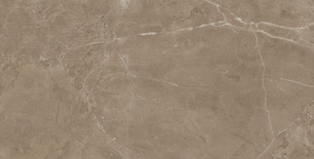 DLG - 41 60X120CM PORCELAIN TILES