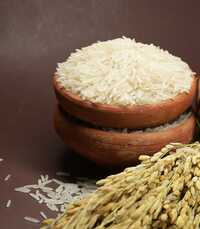 1121 Sella  Basmati Rice