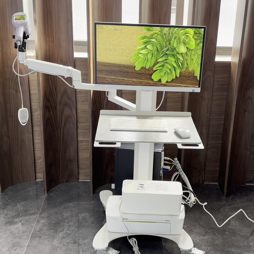 Kn 2200I With Arm Trolley Hd Digital Video Colposcopio - Feature: High Quality