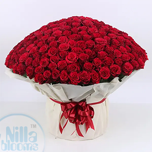 Timeless Love With Roses - Color: Red