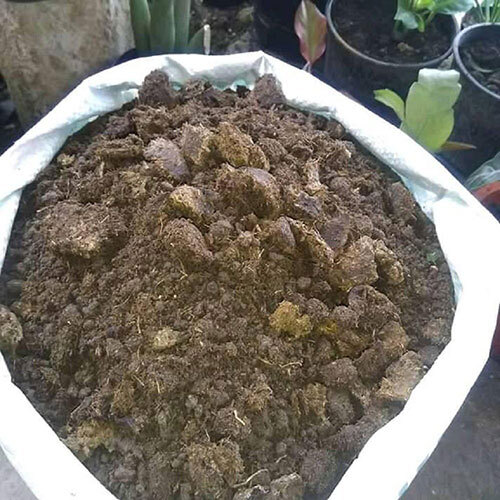 Cow Manure - Application: Agriculture