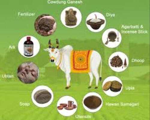 Cow Dung Powder - Application: Agriculture