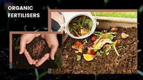 Organic Fertilizer - Application: Agriculture