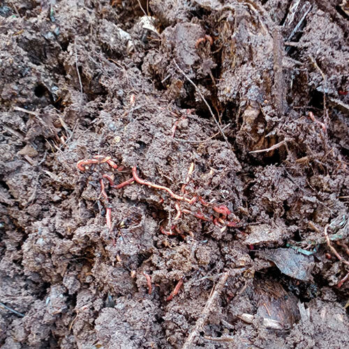 Nutrient Rich Fertilizer - Application: Agriculture