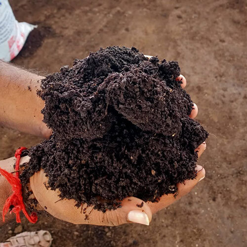 Coco Garden Vermicompost Fertilizer
