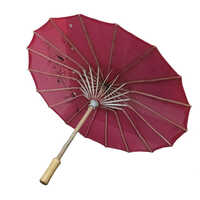Decorative Umbrella - Color: Multicolor