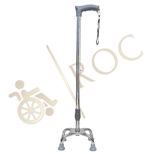 Walking Stick - Color: Grey
