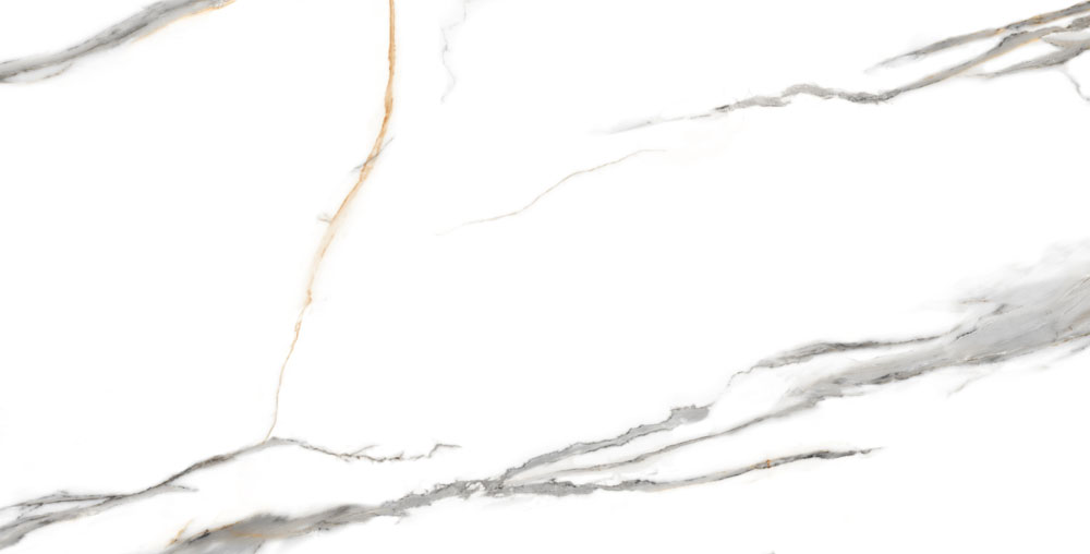 DLG -46 60X120CM PORCELAIN TILES