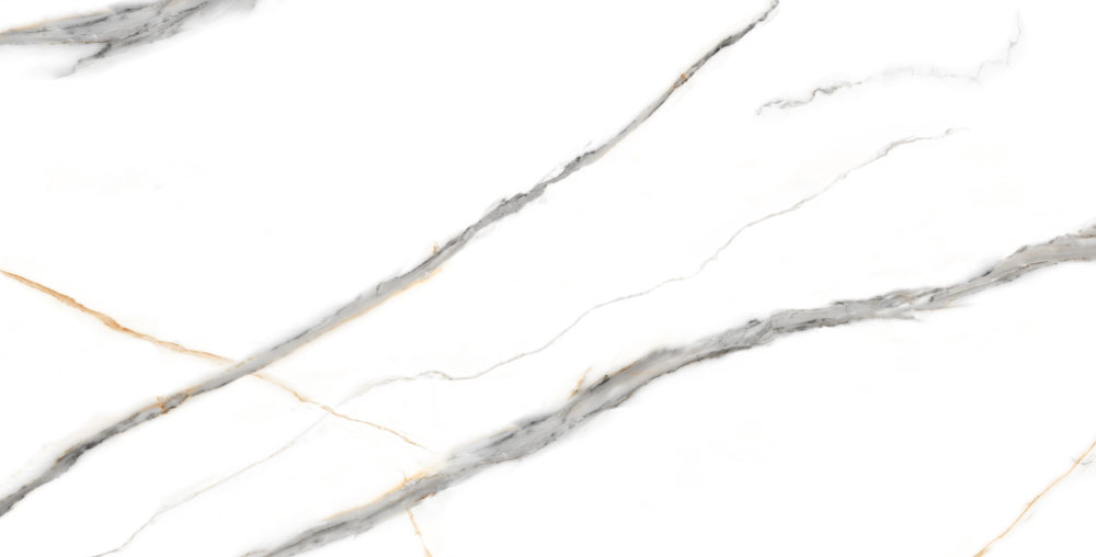 DLG -46 60X120CM PORCELAIN TILES