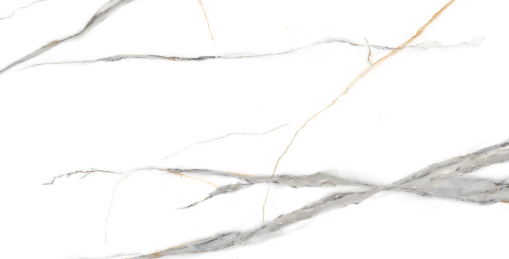 DLG -46 60X120CM PORCELAIN TILES