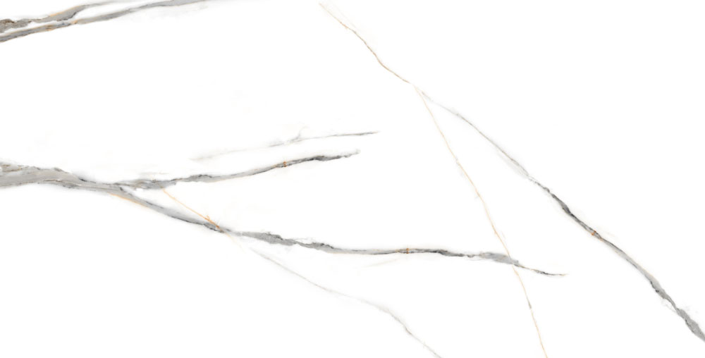 DLG -46 60X120CM PORCELAIN TILES