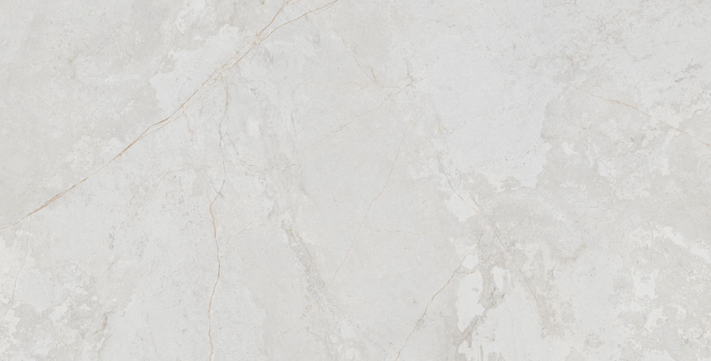 DLG -49 60X120CM PORCELAIN TILES