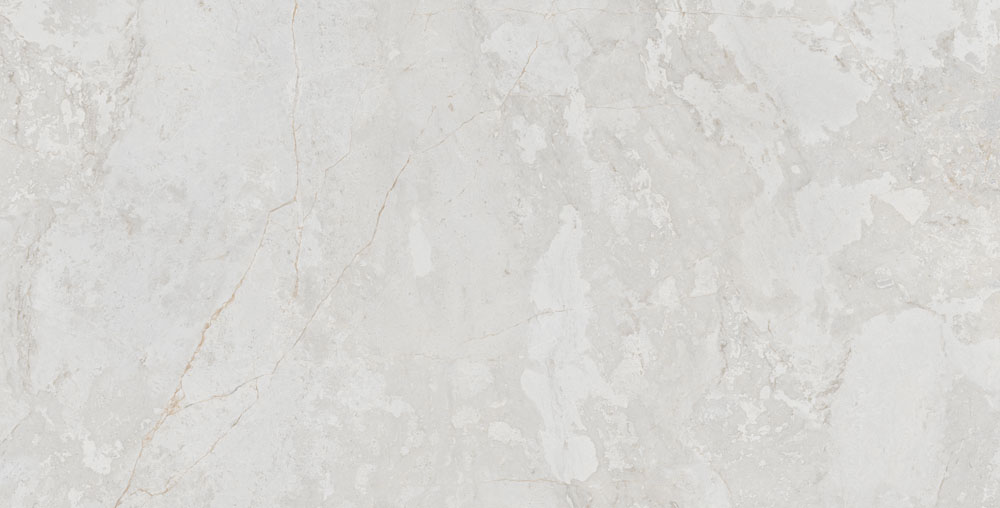 DLG -49 60X120CM PORCELAIN TILES