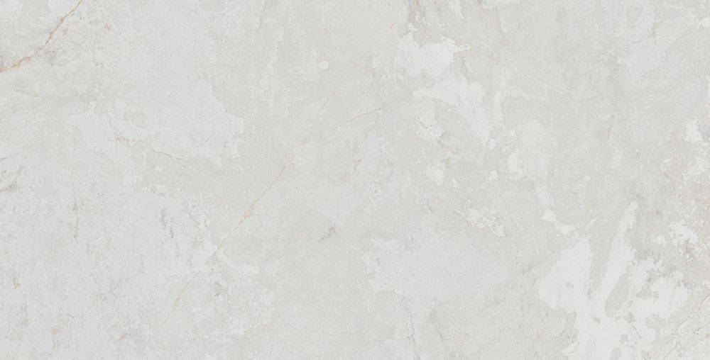 DLG -49 60X120CM PORCELAIN TILES