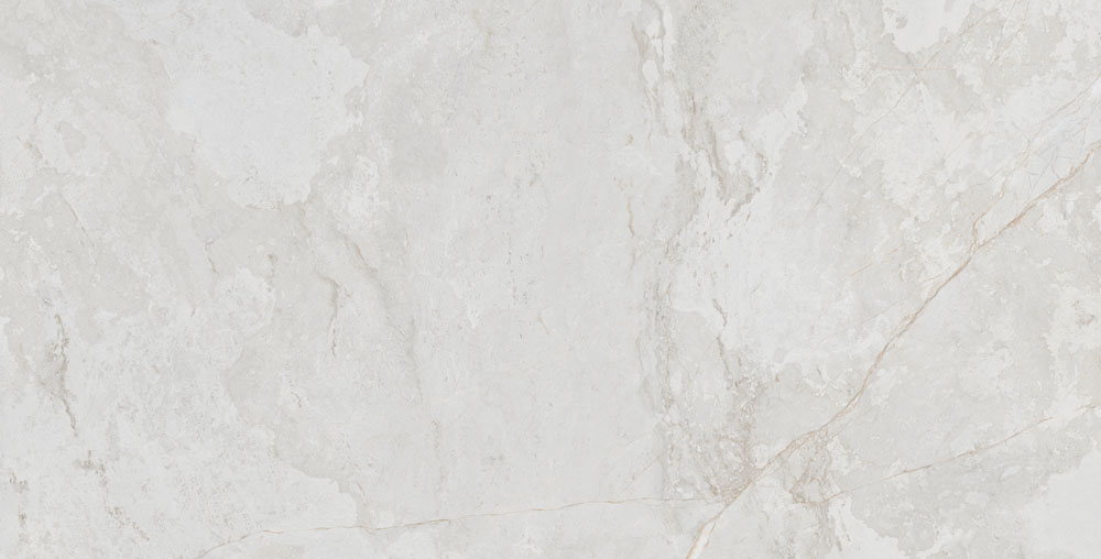 DLG -49 60X120CM PORCELAIN TILES