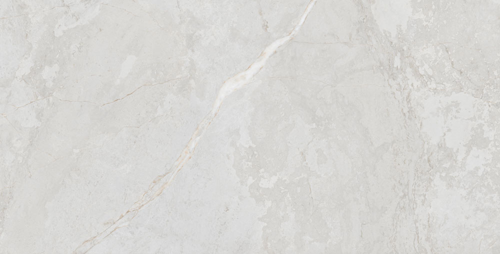 DLG -49 60X120CM PORCELAIN TILES