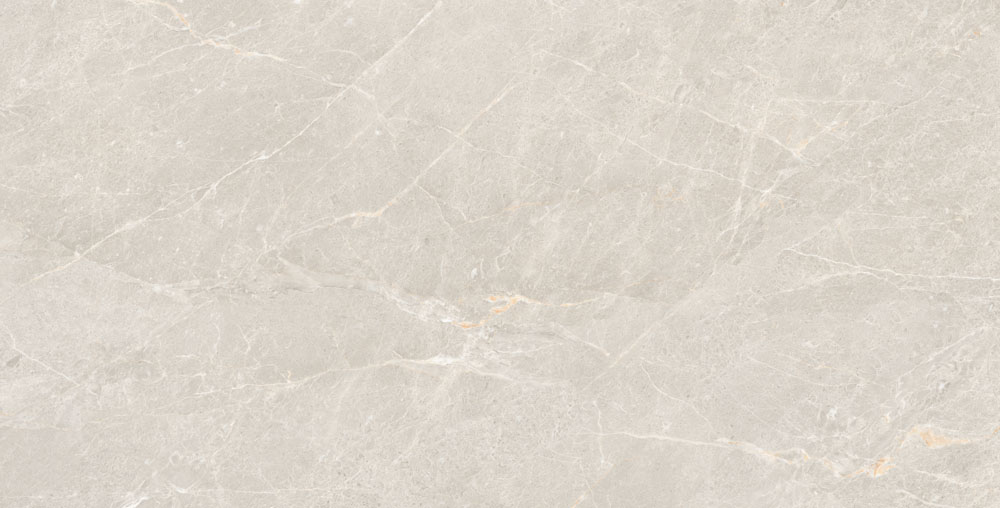 DLG - 54 60X120CM PORCELAIN TILES