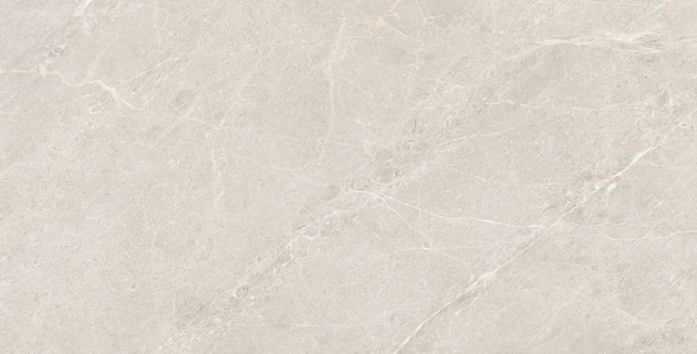 DLG - 54 60X120CM PORCELAIN TILES
